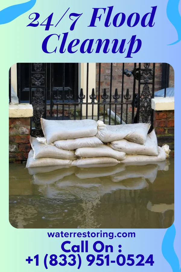 24/7 Flood Cleanup in Atlanta, TX