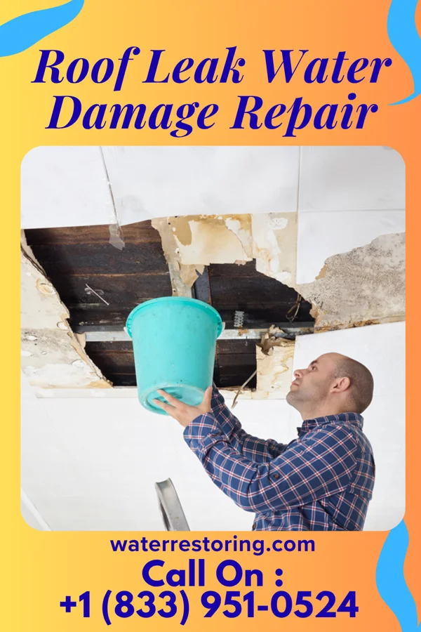 Roof Leak Water Damage Repair in Atlanta, TX